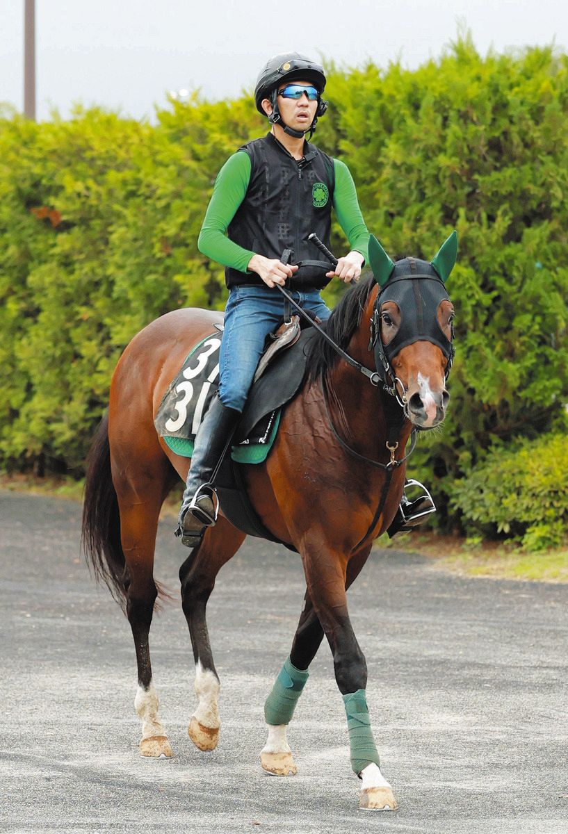 シルクロードS】前走は故障馬のあおりを受けたレイピアが巻き返す 前走から1キロ増も筋骨隆々の500キロ超す馬格で問題なし：中日スポーツ・東京中日スポーツ