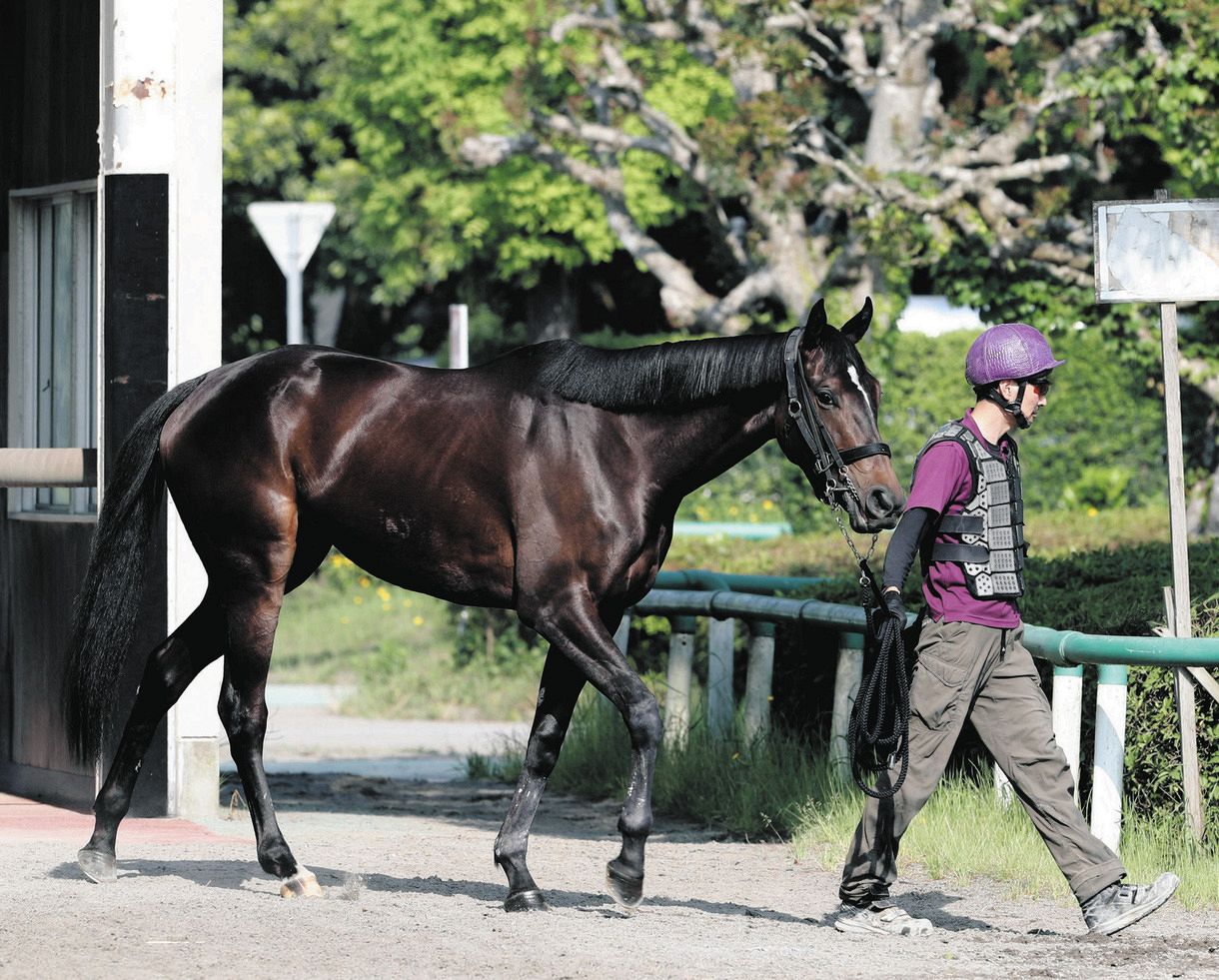 オークス 枠順決定 桜花賞との2冠狙うスターズオンアースは大外8枠18番 巻き返し狙う2歳女王サークルオブライフは3枠 6番 中日スポーツ 東京中日スポーツ