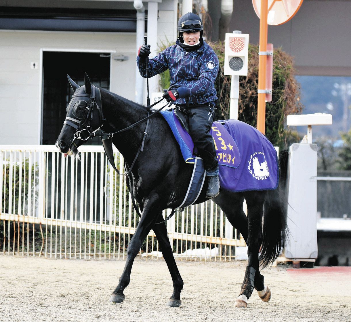 【京都記念追い切り】キラーアビリティ鋭い末脚 斉藤崇師「我慢が利いてました」：中日スポーツ・東京中日スポーツ