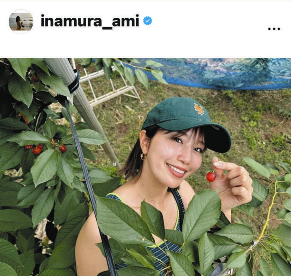 稲村 ◇稲村亜美、サクランボ狩りで笑顔【写真】：中日スポーツ・東京中日スポーツ