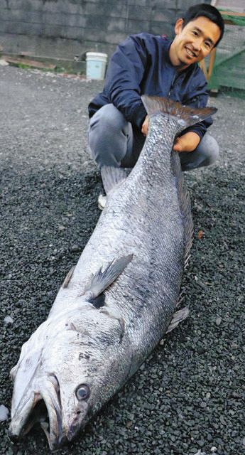 釣ったぞ 幻のオオニベ:中日新聞しずおかWeb