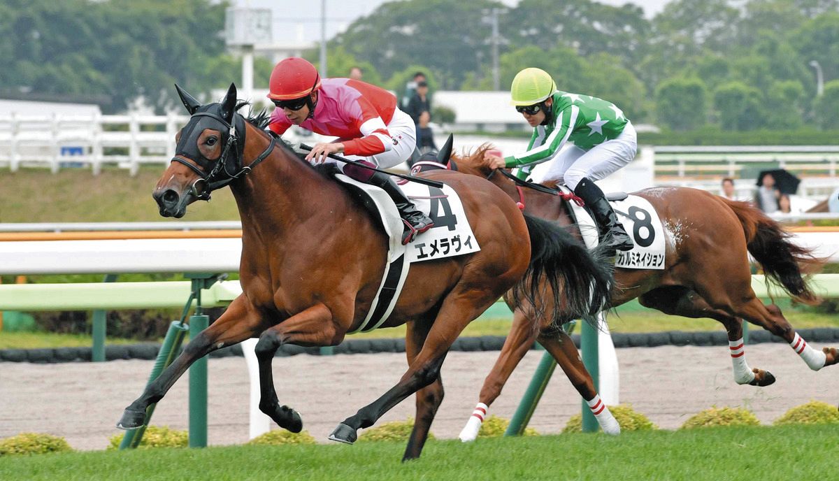 新馬戦】8番人気のオルフェーヴル産駒エメラヴィが函館1200ｍで快勝…横山武「新馬戦としてはいい競馬」：中日スポーツ・東京中日スポーツ