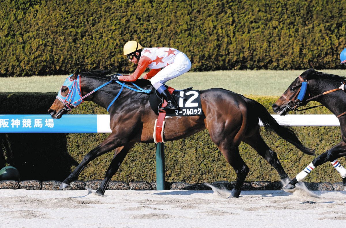 阪神10R・レグルスS】マーブルロック、鮮やか逃げ切りオープン初勝利