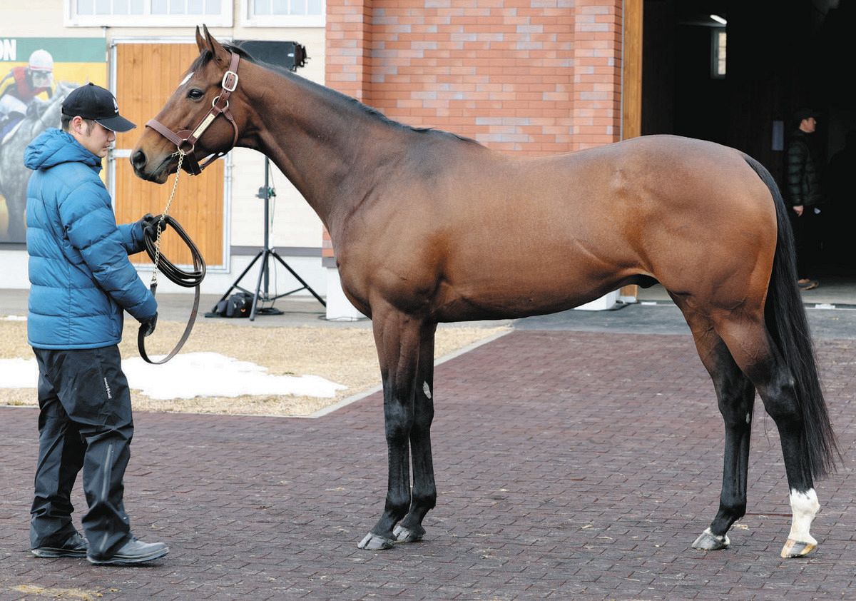タスティエーラなど新種牡馬4頭展示 マッドクールの池添師「国内の