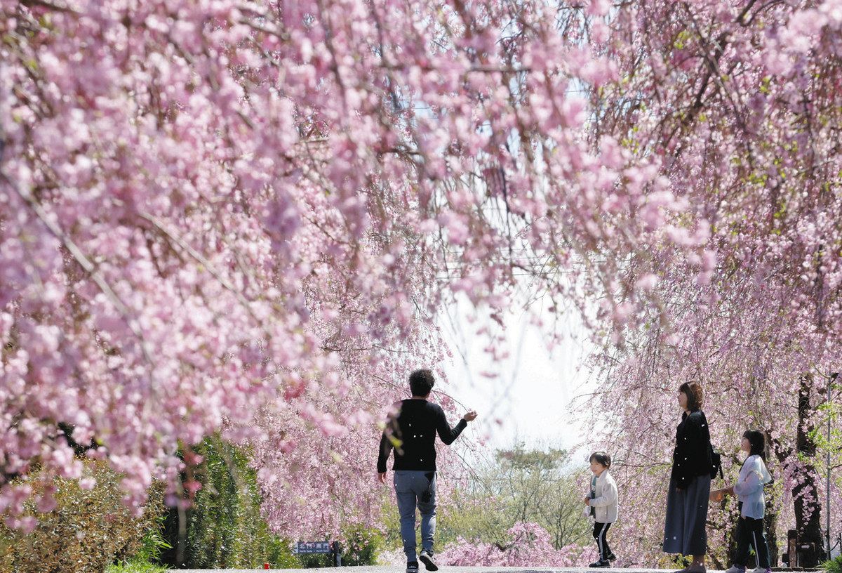 東谷山フルーツパーク