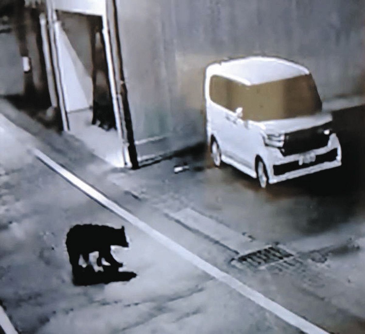 岐阜県・郡上市内でクマの目撃情報急増 教員が通学路で児童生徒の登