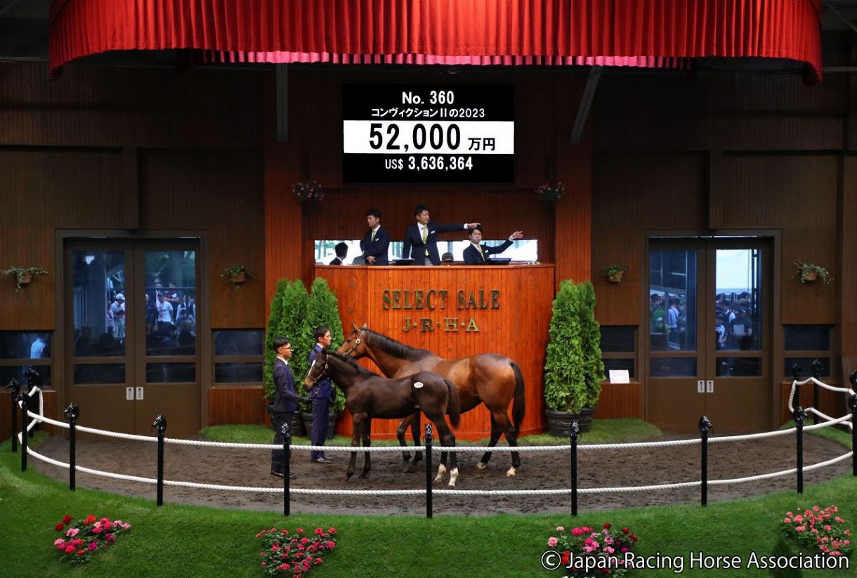 コントレイル産駒、5億2000万円のハンマー！ノースヒルズが譲らず競り