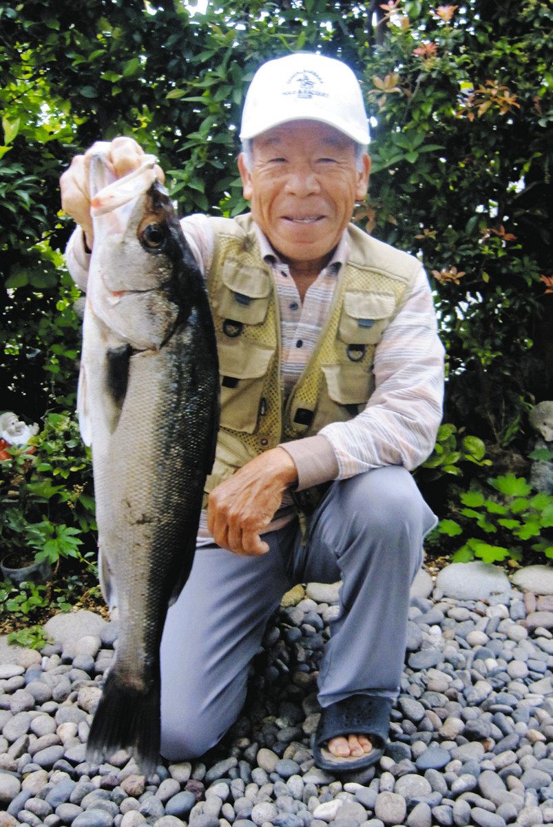 ぐるっと北勢〜駿遠＞ 出たぞ！65センチ大マダカ 立田：中日スポーツ