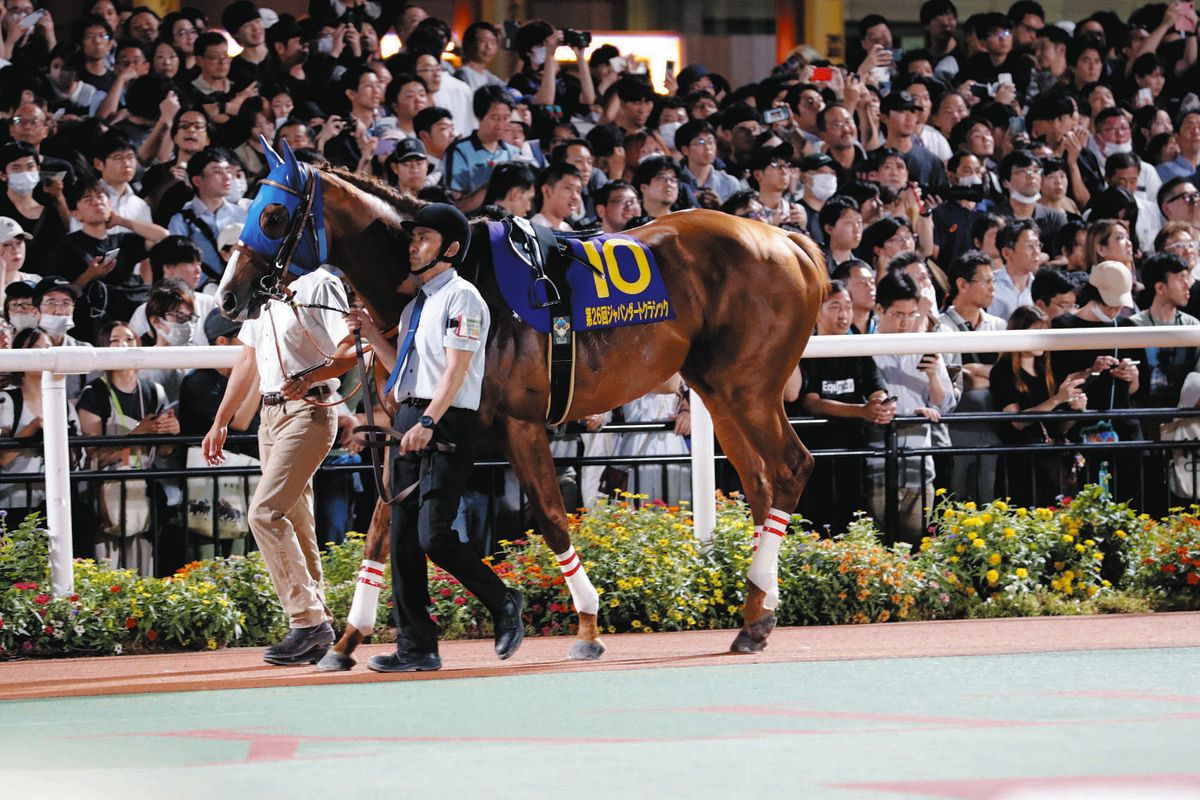 東京大賞典・大井競馬】ミッキーファイト、ナルカミ、ディクテオンなど