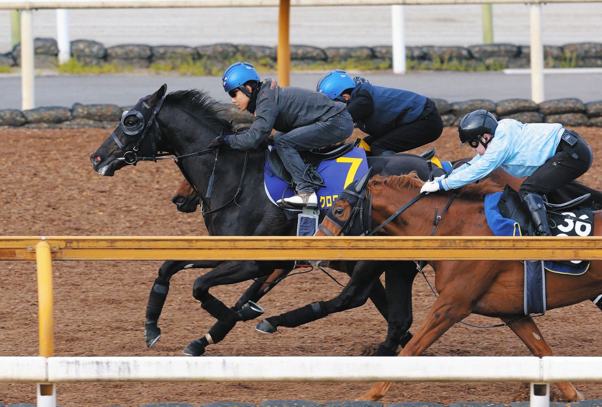 クロワデュノール 新馬戦 的中馬券(期限切れ) クロワデュノール 新馬戦 的中馬券(期限切れ) 皐月賞2週前追い】