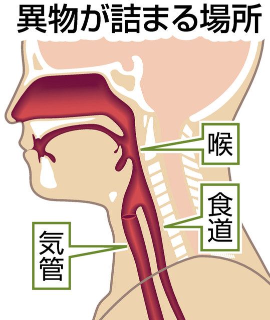 乳幼児の窒息事故 食材の形 大きさに注意 中日新聞web