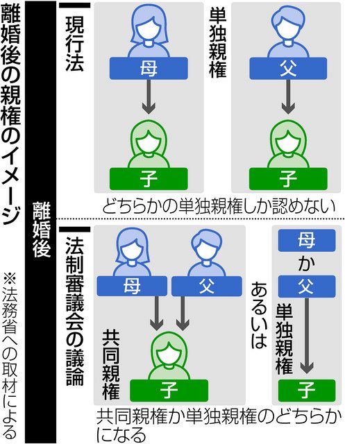 共同親権、利点と課題は 米では定着も日本では慎重論消えず：中日新聞Web