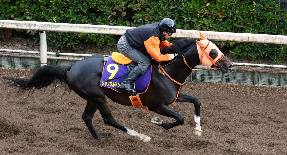マイルCS】枠順確定 春の安田記念を制したジャンタルマンタルは7枠15番