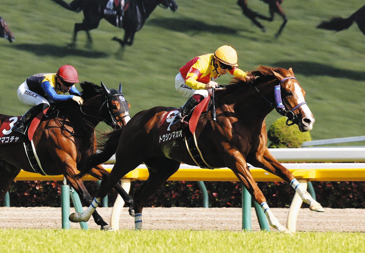 京王杯SC】1番人気のママコチャは2着…池江師「千四も上手に走れ