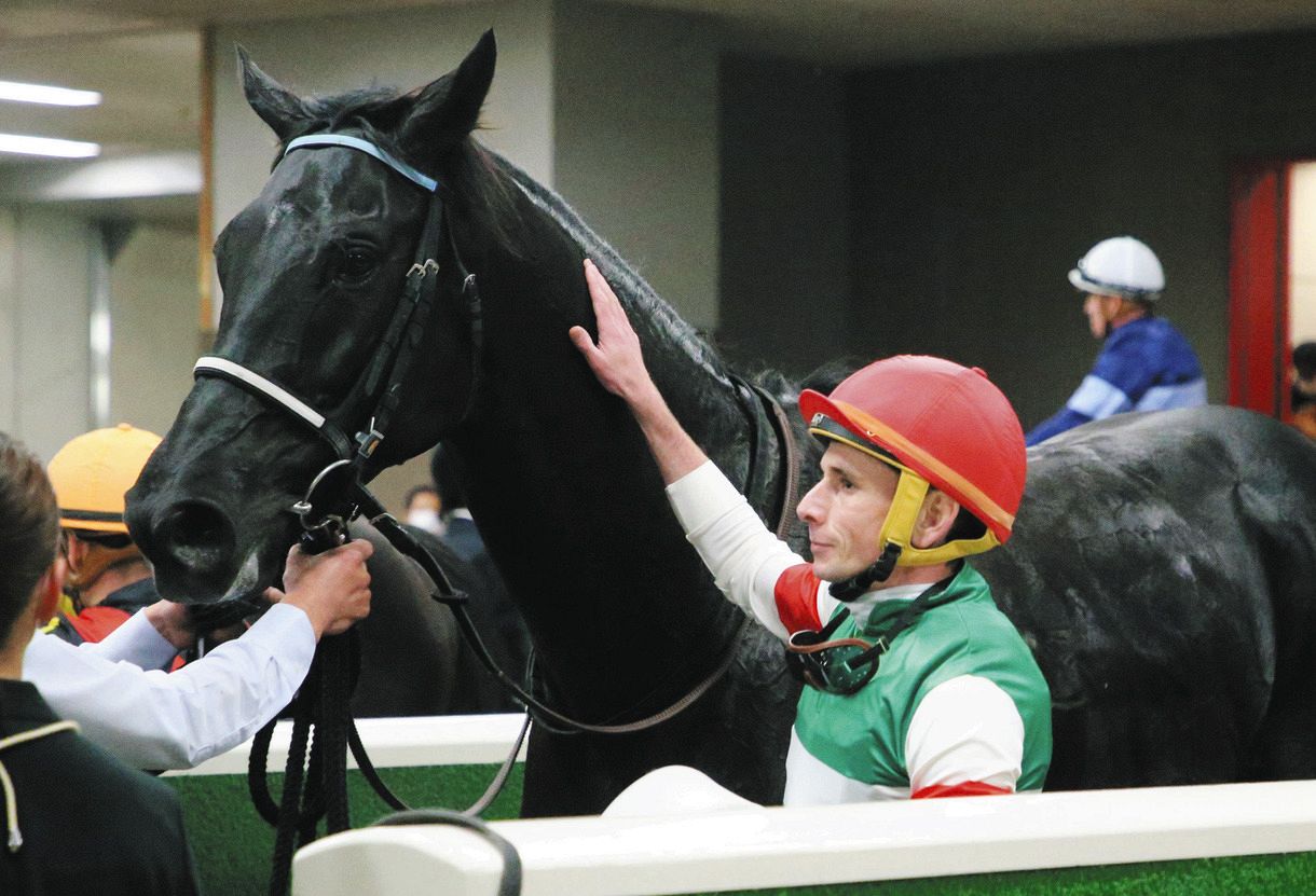 ジャパンC勝ったヴェラアズールが有馬記念参戦へ 「レース後も問題ない