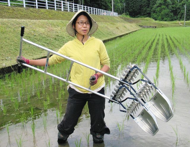 八反どり 小型(S) はったんどり 八反取り はったん取り 八反ずり