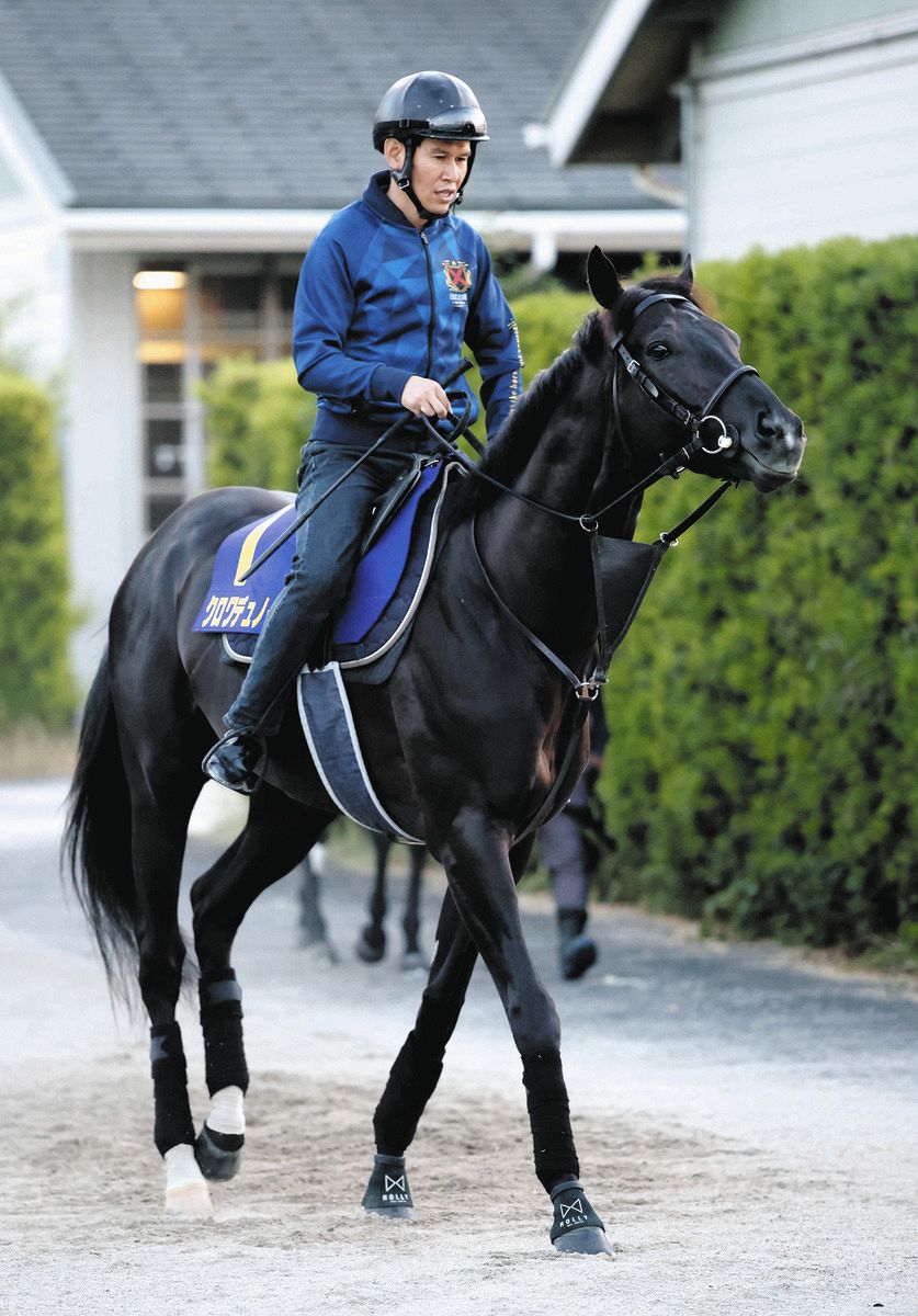 宝塚記念・枠順確定】春の古馬三冠目指すクロワデュノール3枠5枠 斉藤