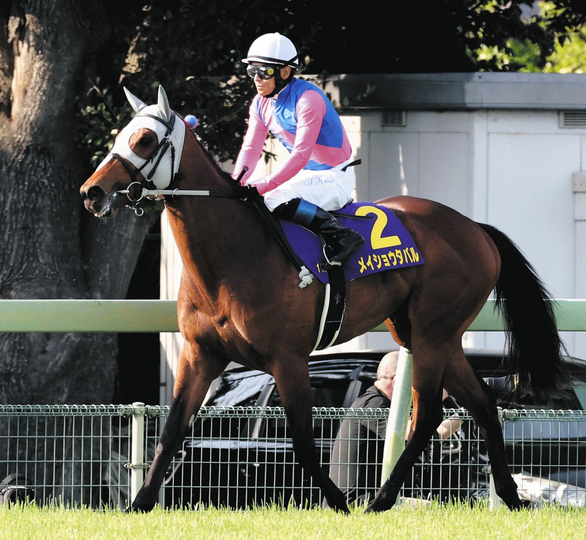 ダービー】皐月賞で暴走…17着に失速したメイショウタバル、課題の