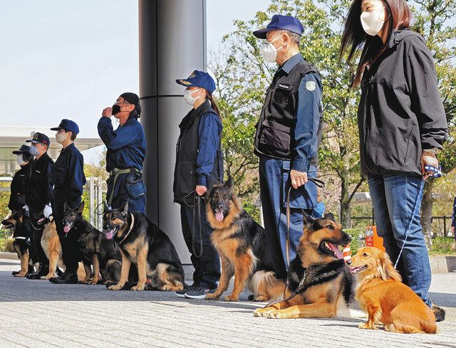 県警警察犬に21頭 小型もお任せワン 嘱託書交付：北陸中日新聞Web