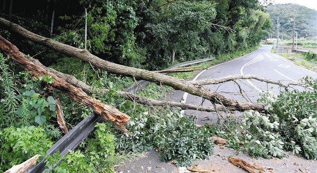 一時停電や県道に倒木 台風14号、県内被害：中日新聞Web