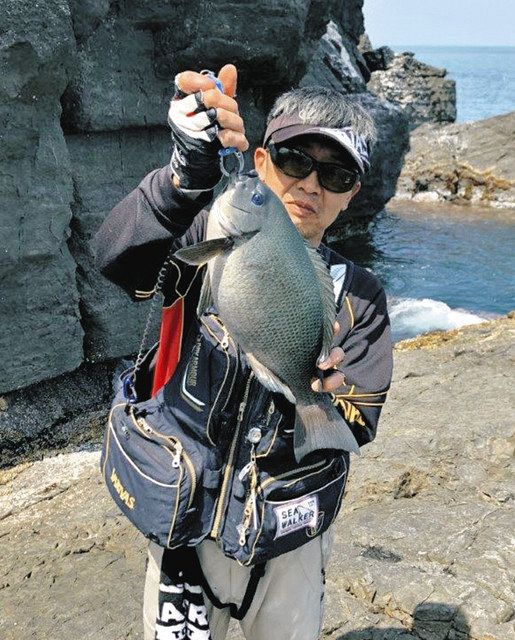 釣友にグレ42センチ 福井・若狭大島磯：中日スポーツ・東京中日スポーツ