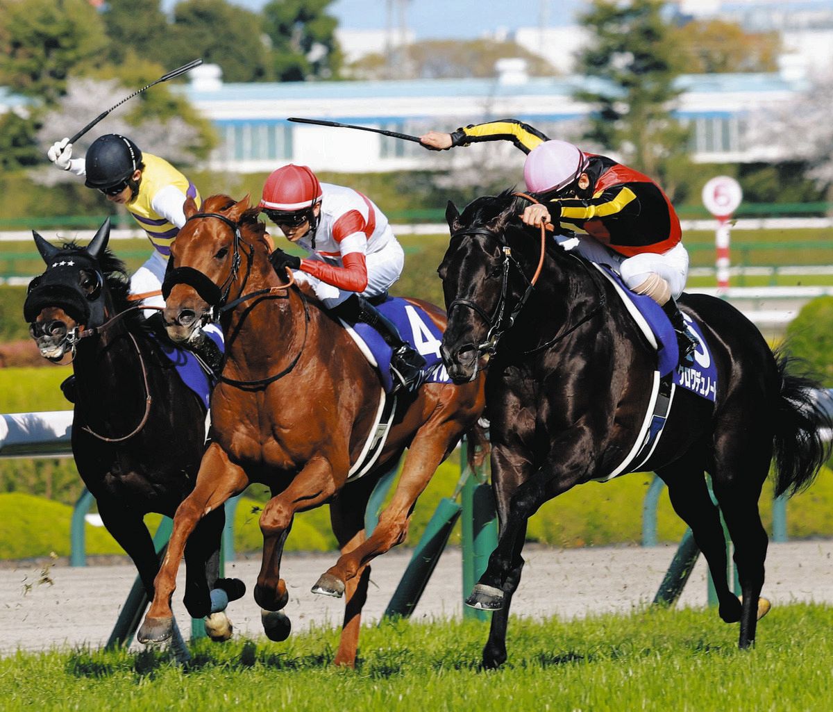 JRA】宝塚記念ファン投票第2回中間発表 トップは今春G1・2冠のクロワ
