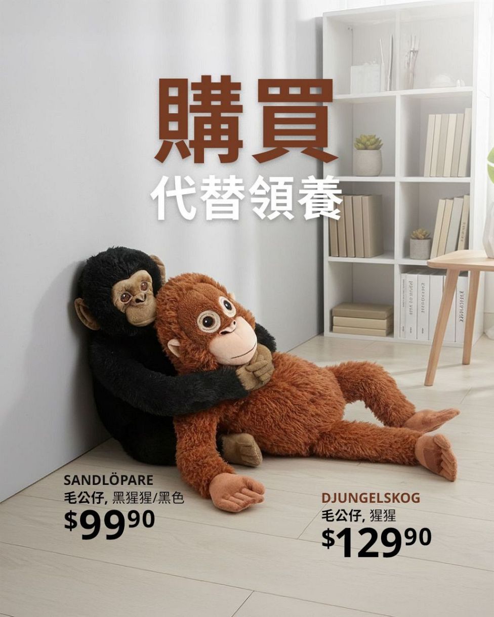 オカモラ お家 バウシュピール グリムス レーゲンボーゲンランド デュシマ オカモラ お家 バウシュピール グリムス レーゲンボーゲンランド