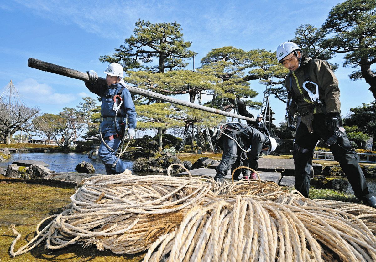 兼六園で雪つり外し：北陸中日新聞Web