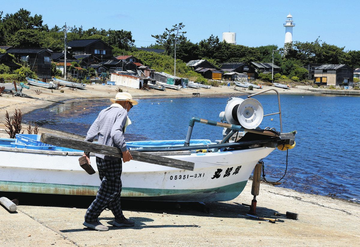 舳倉島　パンフレット　島カード　使用済み乗船券　石川県　輪島 楽天市場】【ふるさと納税】 錦江湾 クルーズ 乗船券