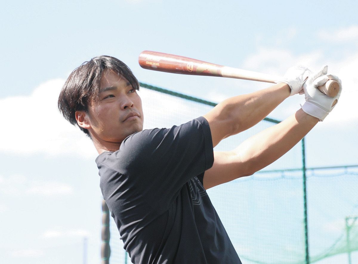 中日ドラゴンズ 石垣雅海選手 実使用硬式木製バット 【公式通販】