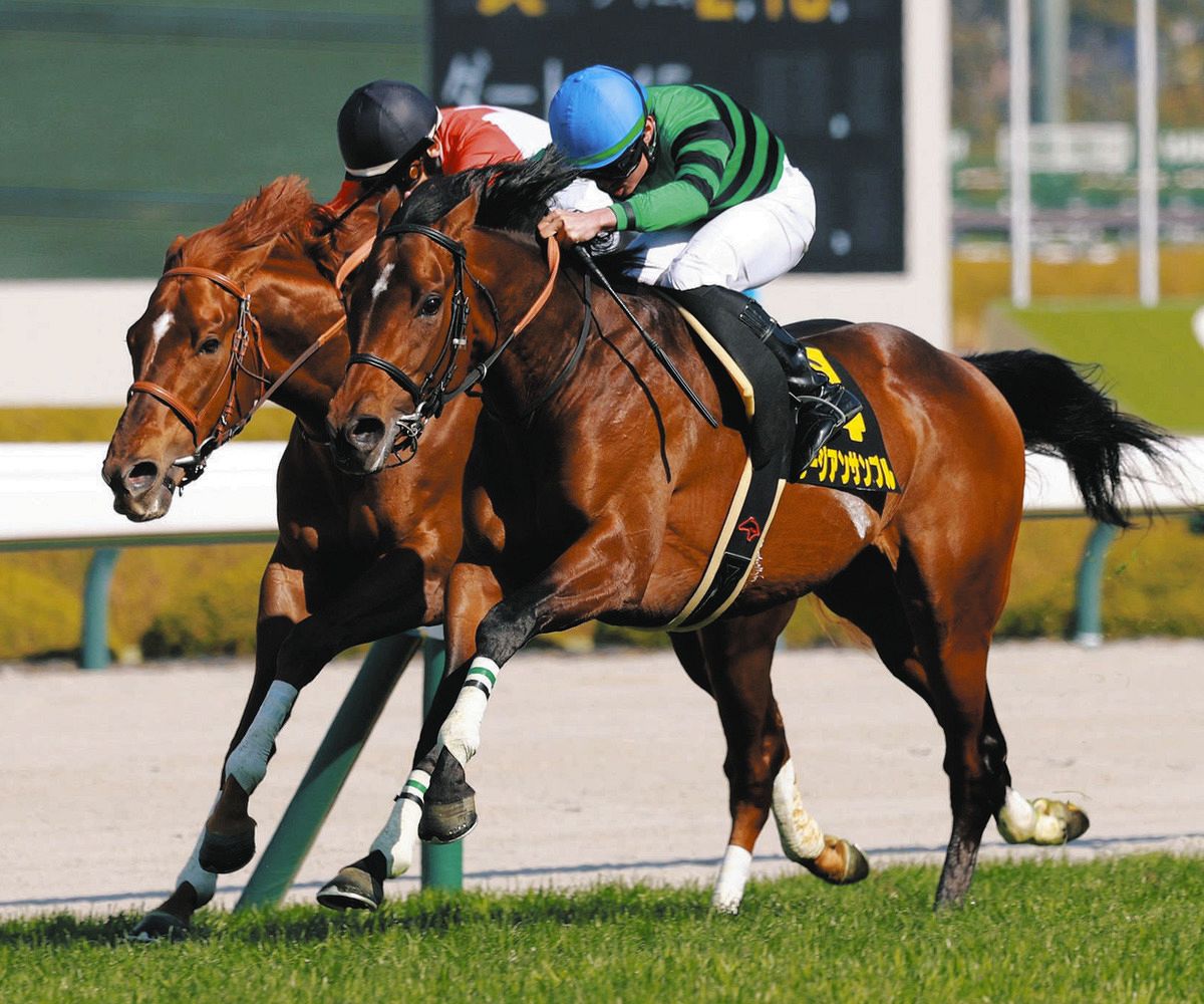 阪神8R・すみれS】6番人気ラージアンサンブルが差し切りオープン初V