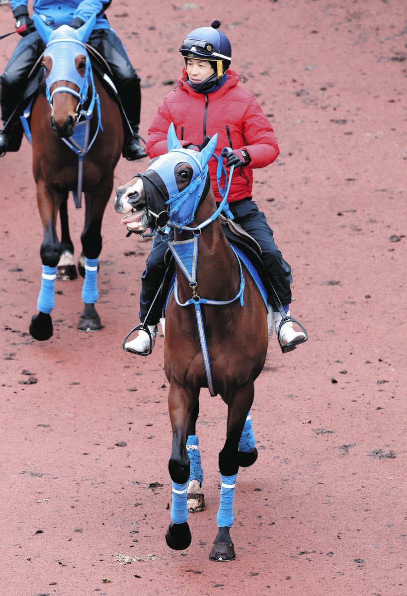 チャンネルトンネル1馬身先着 堀内師「反応も良く、満足のいく動き