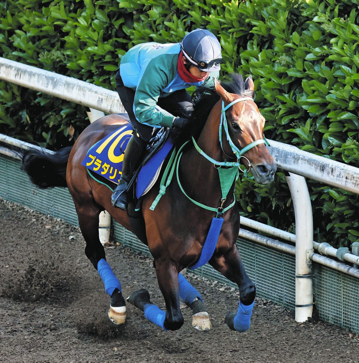 天皇賞・春】武豊ショウナンラプンタ3着で〝ダブル快挙〟ならず