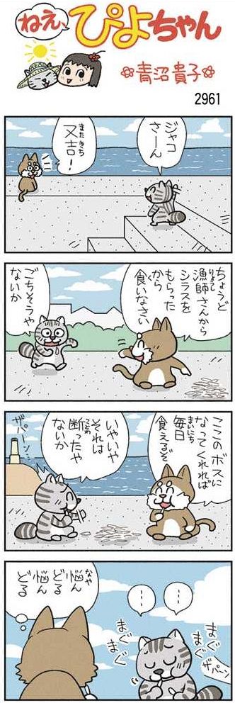 ねえ、ぴよちゃん：中日新聞Web