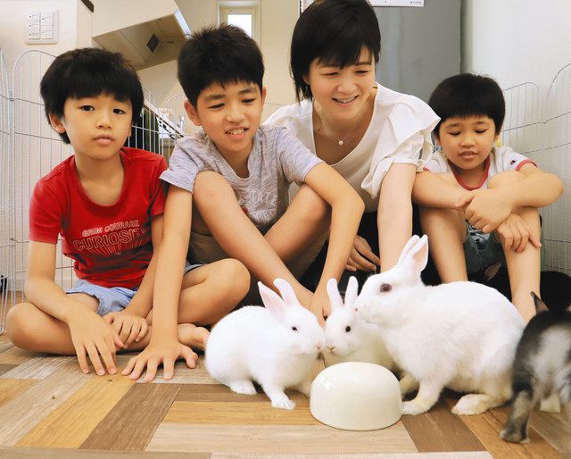 落とし物 のウサギが家族に 各務原署から引き取り 中日新聞web
