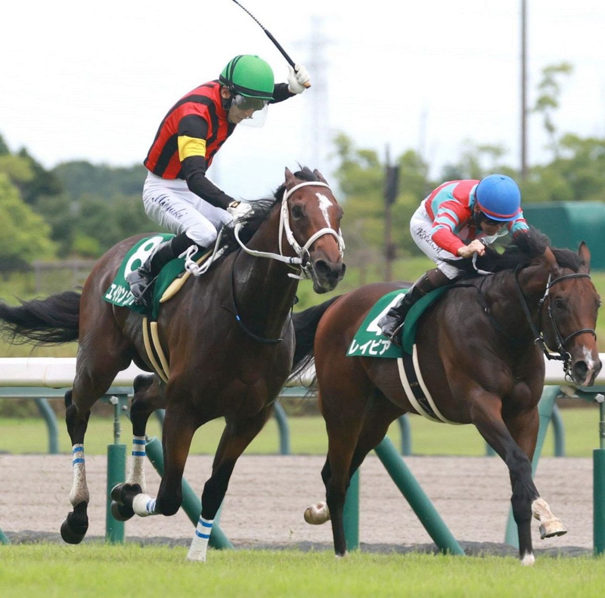JRA】24年小倉2歳S優勝エイシンワンドの競走馬登録抹消、園田競馬へ