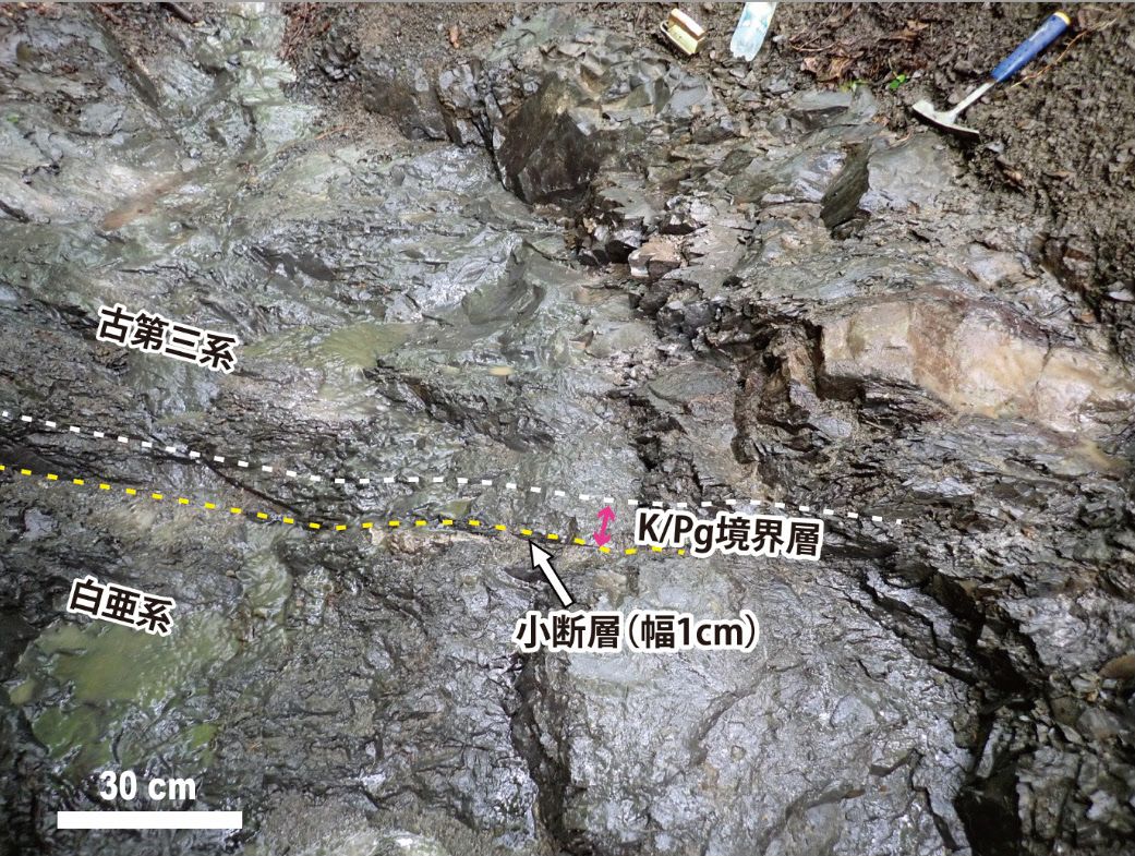 恐竜絶滅引き金 隕石衝突の痕跡 県立大など、北海道で発見 北東アジア