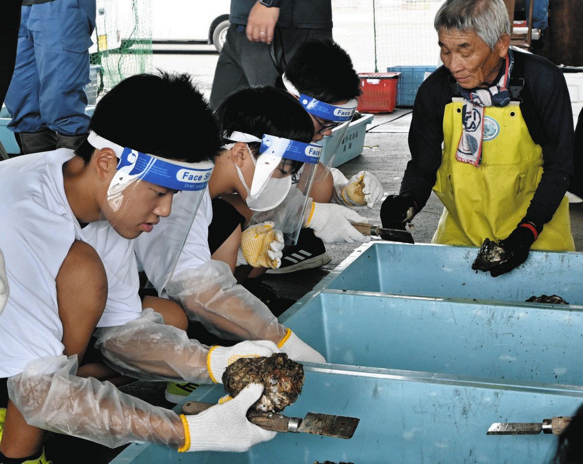 育て、漁業の担い手 紀北と赤羽中生が岩ガキの清掃作業：中日新聞Web