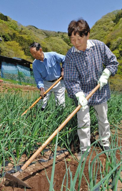 お年寄り、高い「健康度」 高齢化率日本一・群馬県南牧村：中日新聞Web