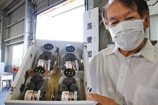 黒蜜姫 皮ごと食べて jaはくい 黒いちじく初出荷 北陸中日新聞web 黒蜜姫 皮ごと食べて jaはくい 黒いちじく初出荷 北陸中日新聞web