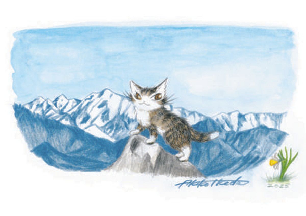 猫の「ダヤン」スケッチ一堂に 池田で絵本作家・池田あきこさんの企画