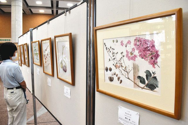 サルスベリなど四季折々の花を描いた植物画＝富山市婦中町上轡田の県中央植物園で 