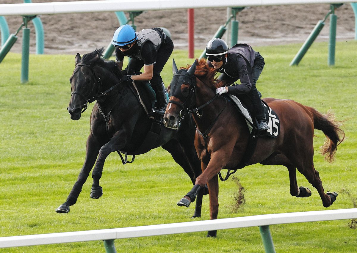 札幌2歳S】マジックサンズ、芝コースで切れある動き 佐々木「ギアの上がり方がすごくスムーズ」と好感触：中日スポーツ・東京中日スポーツ