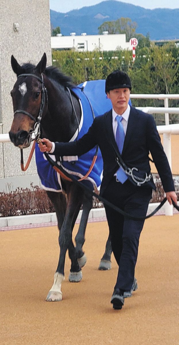 オーサムリザルト、直線差し返してデビューから5連勝 武豊「着差以上の勝ち方」【京都11RアルデバランS】:中日スポーツ・東京中日スポーツ