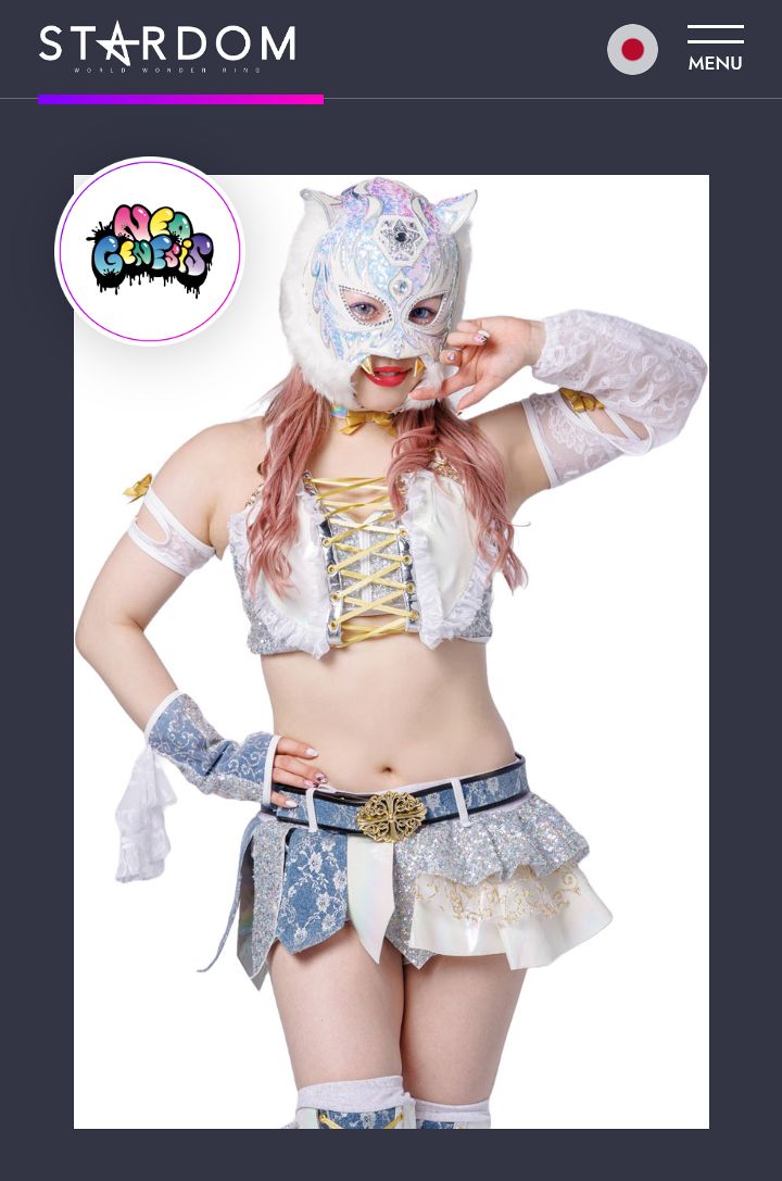 スターダム/STARDOM スターライトキッド 写真集 2種セット Photo 写真