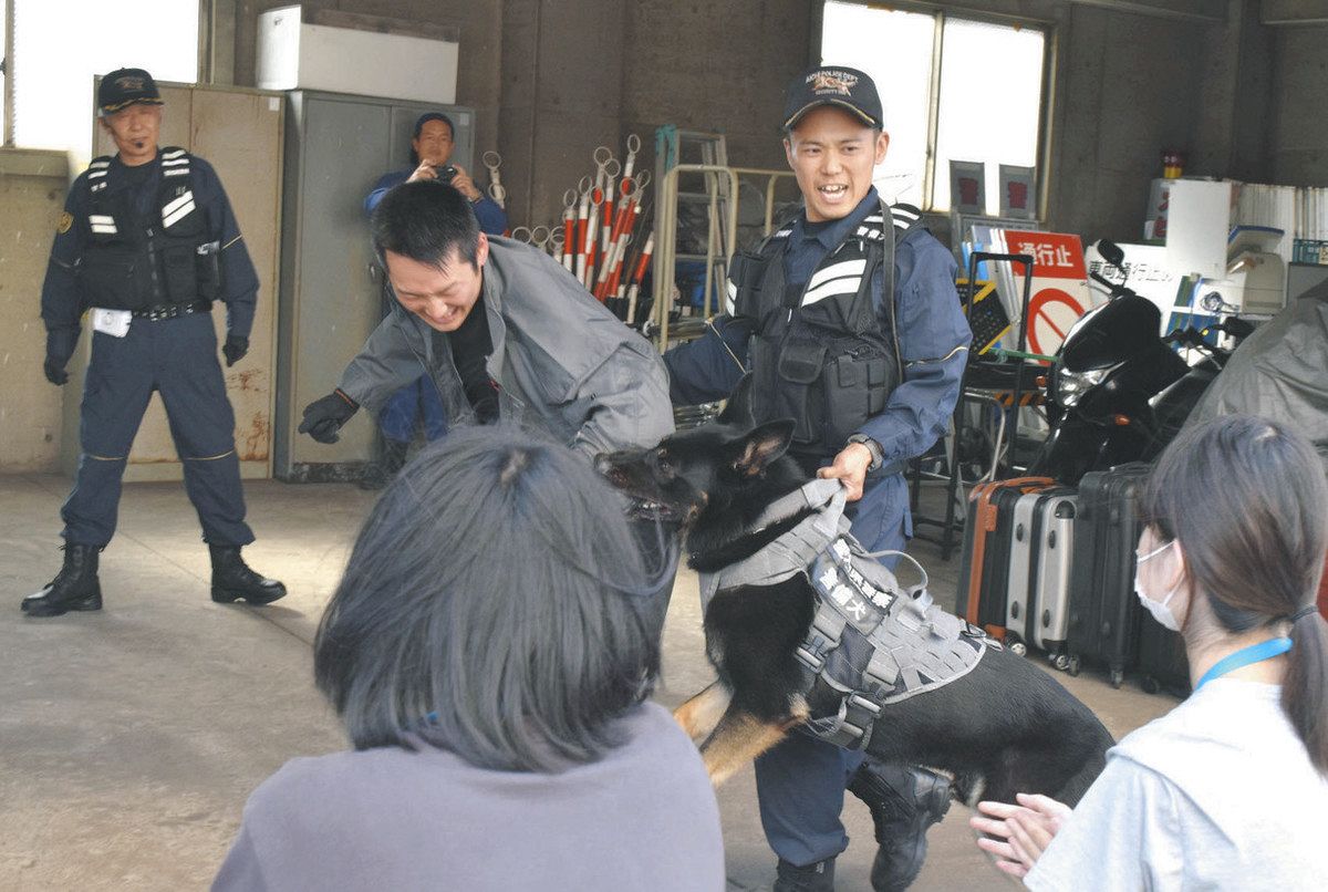警察 の 仕事