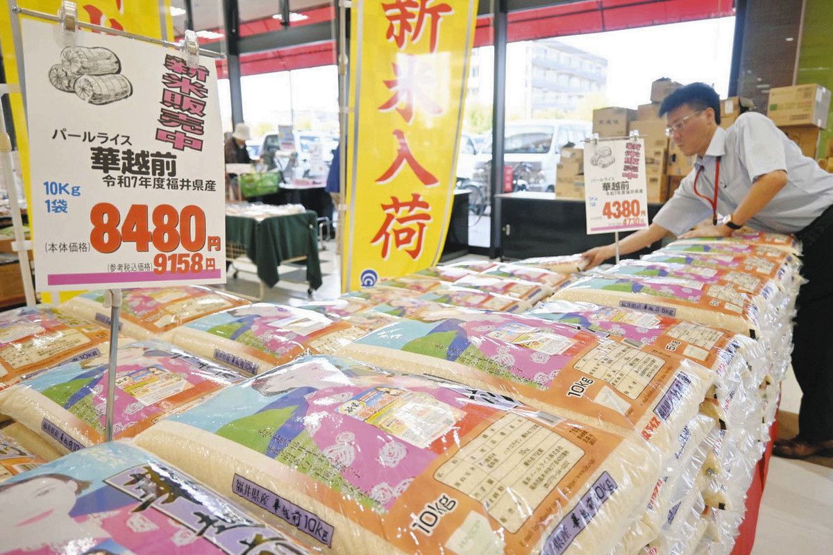 福井で新米並び始めたけれど…価格はもう昨年超え わせ品種は4～7割