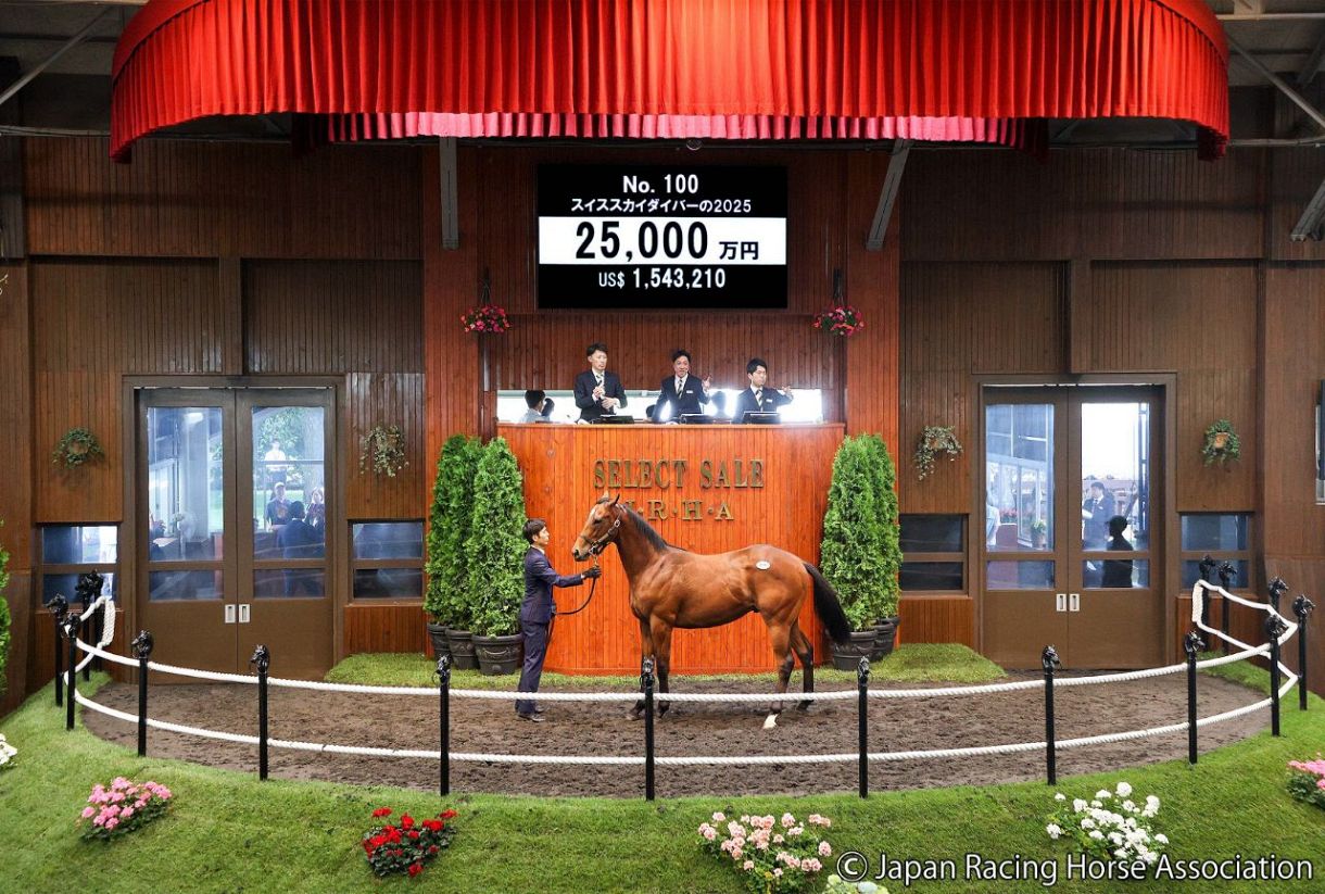 セレクトセール2026】母は米G1馬、注目のスイススカイダイバーの2025は