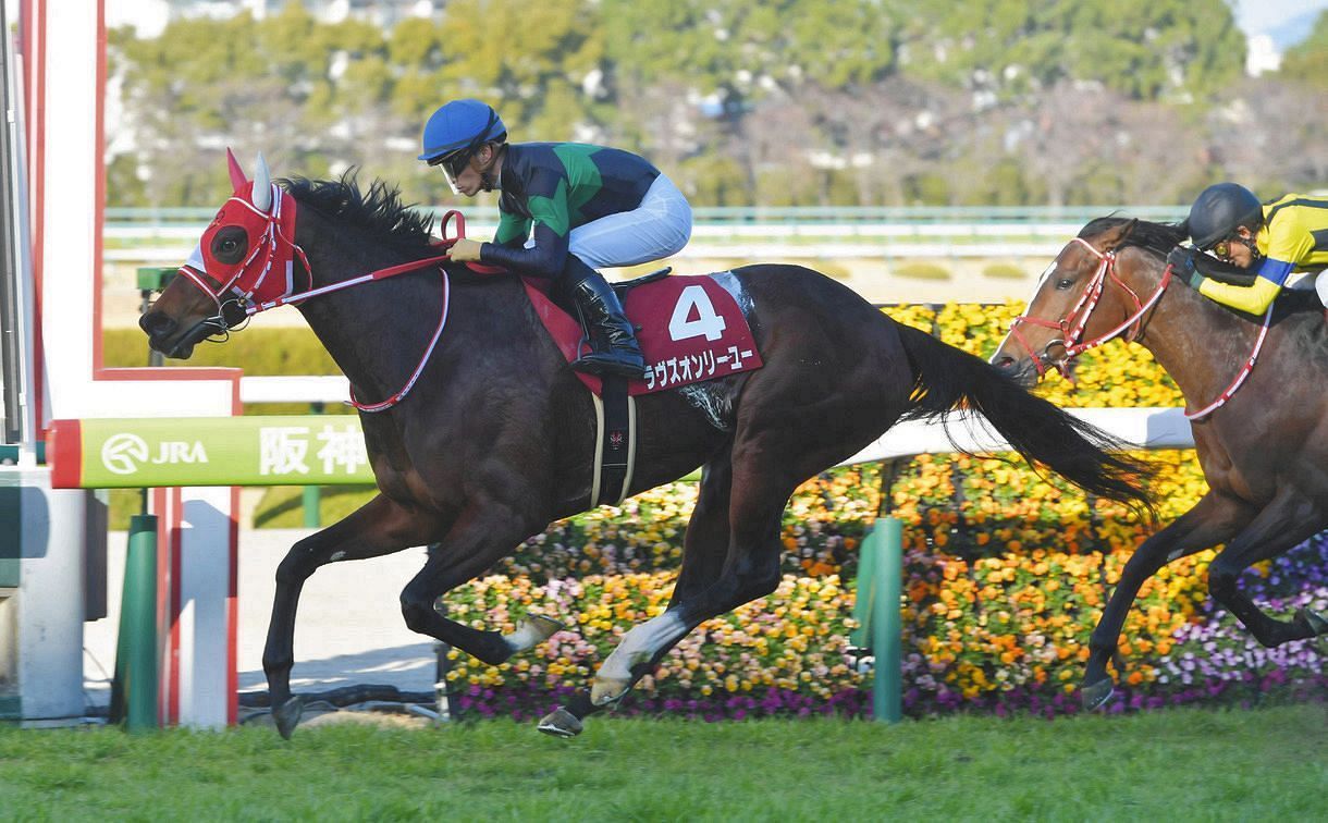ラヴズオンリーユー、30日に東京競馬で引退式 JRA公式YouTubeなどで 