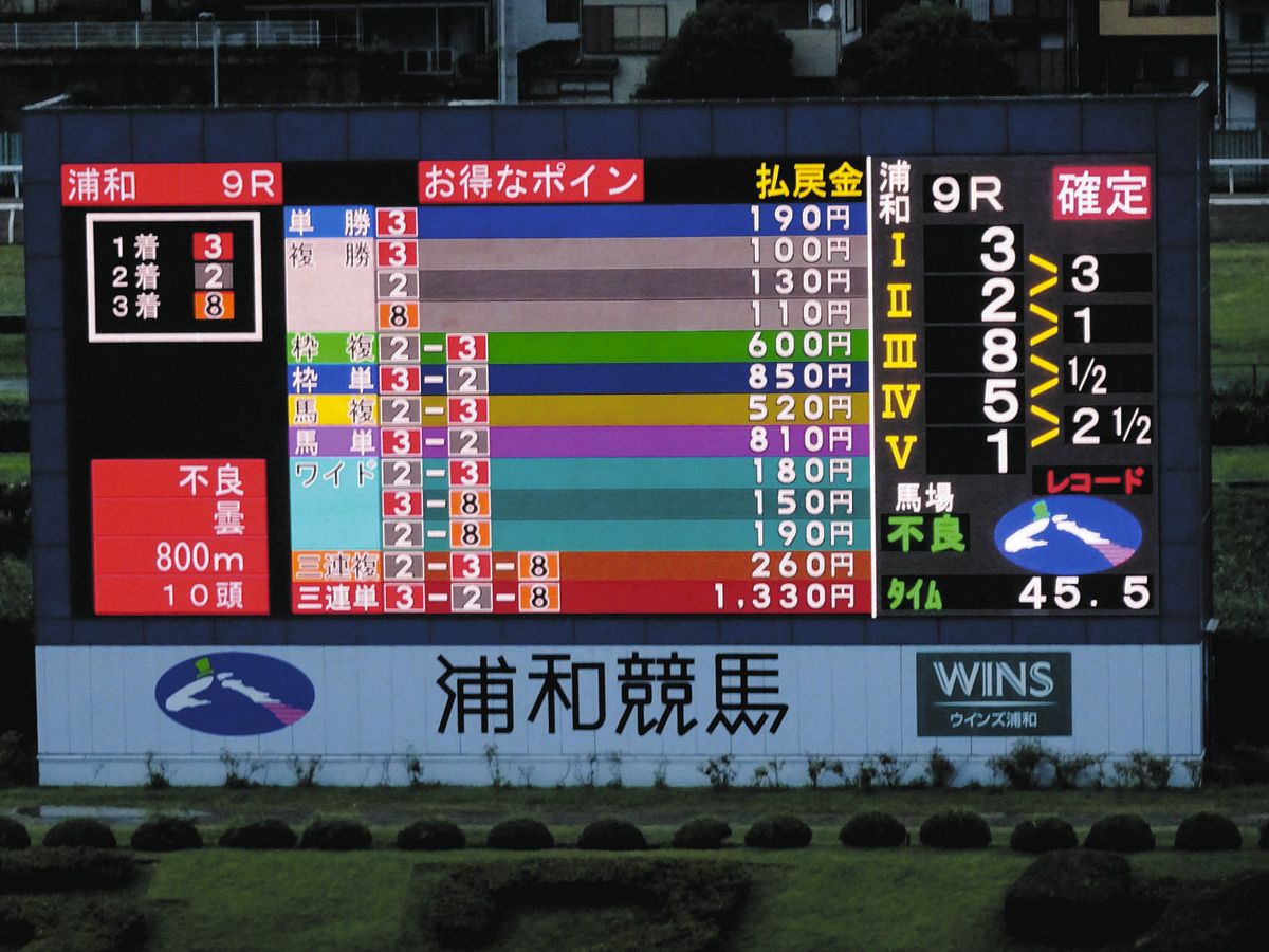 中山競馬場　ドウデュース　コントレイル　ファイル 中山競馬場 ドウデュース コントレイル ファイル公式 ストア